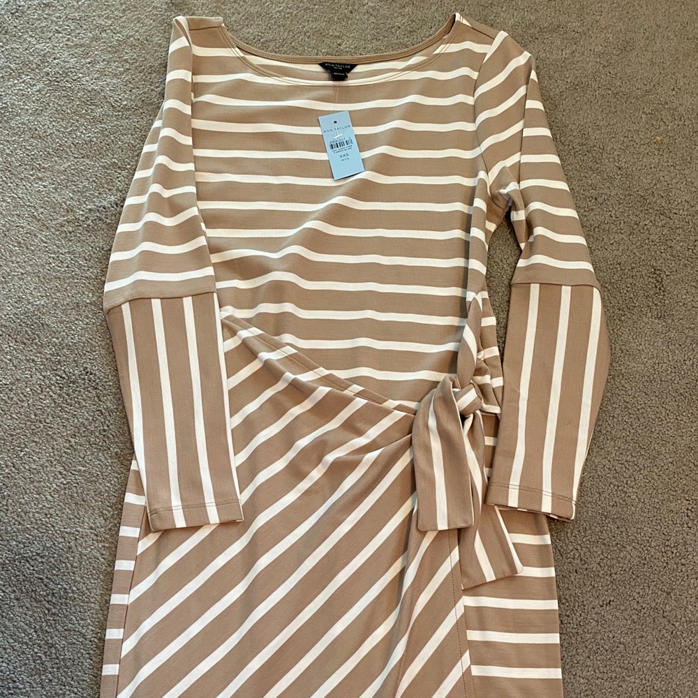 NWT Ann Taylor midi dress